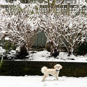 Meet your Posher, Donna